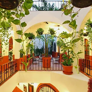 el-patio-apartments.quintano-roohotels.com/